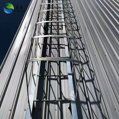 Goedkope staalconstructie-opslagruimte met sandwichpaneelwand voor energiezuinige opslag