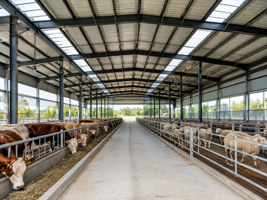 Dak Live Load 035kn M2 Lichte staalstructuur Pakhuis Staalopslaggebouw Duurzaam en oplossing voor industriële opslagbehoeften